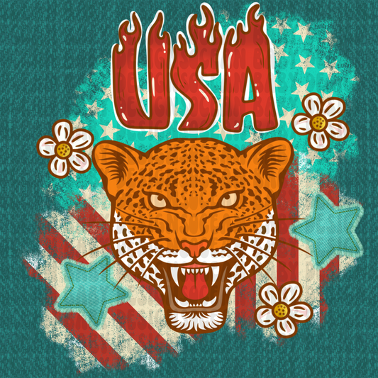 Girl USA patchwork png